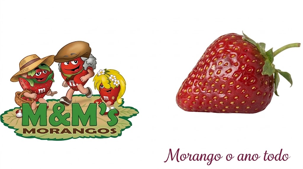 MM Com&eacute;rcio de Morangos